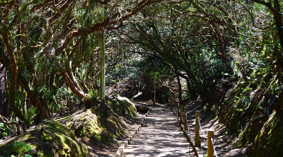  El Parque Rural de Anaga